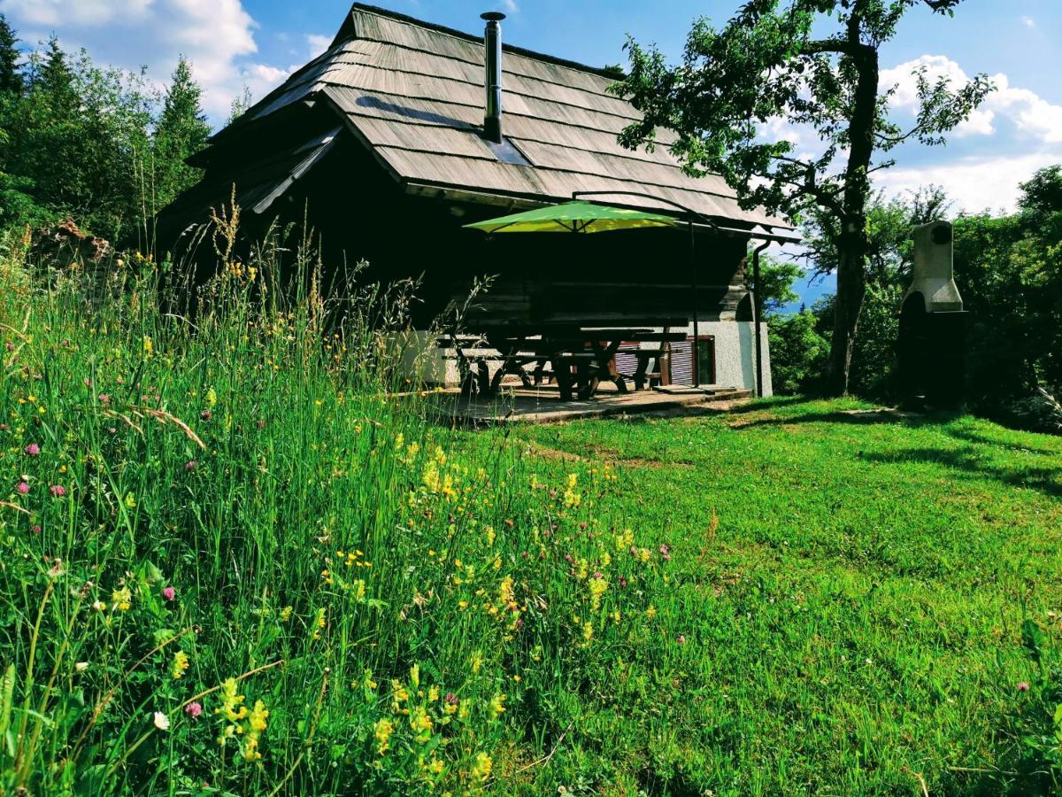 Natur Pur Pikovo Villa Crna na Koroskem Eksteriør bilde